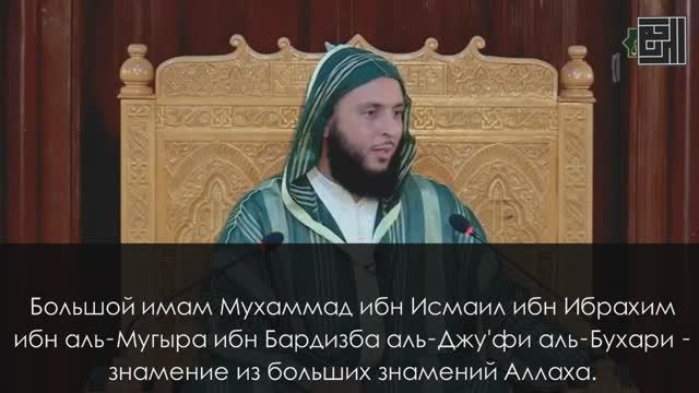 Тома имам. Шейхи Багдада.