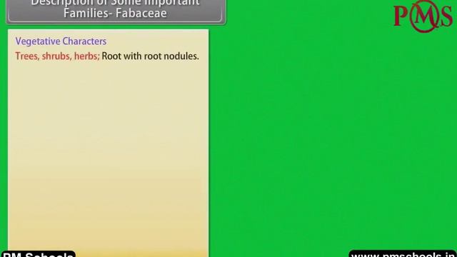 NCERTCBSE Class-11-BiologyMorphology of Flowering Plants-FruitsAnimation in englisheasy and Fun