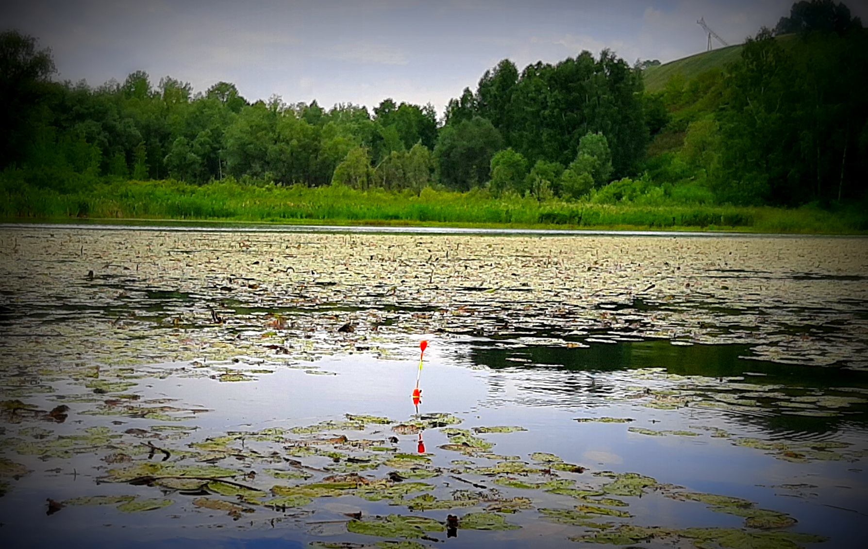 ВЫДИРАТЬ КАЖДОГО ПРИХОДИТСЯ ! Рыбалка на карася в оконцах травы. смотреть онлайн