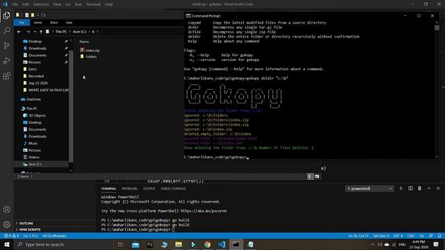 How to Remove All Files In a Directory In Go - Backup Files Software From Scratch Written in Go #11