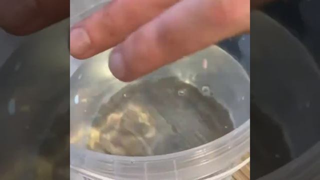 Распаковка и тест моей крафтовой кисти. смотреть онлайн