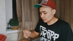 КАК ВЫРАЩИВАТЬ МИКРОЗЕЛЕНЬ ЛУКА КАРМЕН. БАЗИЛИК. РУККОЛА. РЕДИС. БИЗНЕС