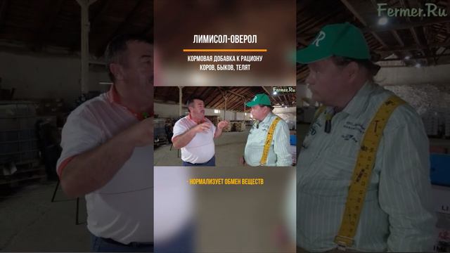 Соль-лизунец «ЛИМИСОЛ-ОВЕРОЛ» #Аскор  #Соль_лизунец  #Лимисол #Для_КРС смотреть онлайн