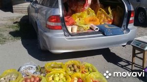 Иссык-кульские Яблоки.Урожай яблок в Кыргызстане.