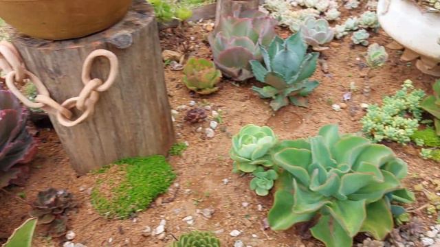 E chega a hora de despedir do jardim e voltar pra cidade! 😥 смотреть онлайн