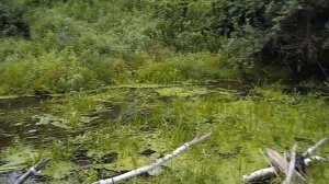 Приехал на рыбалку называется