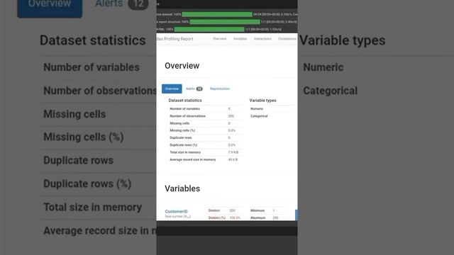 Automatic Data Visualization смотреть онлайн
