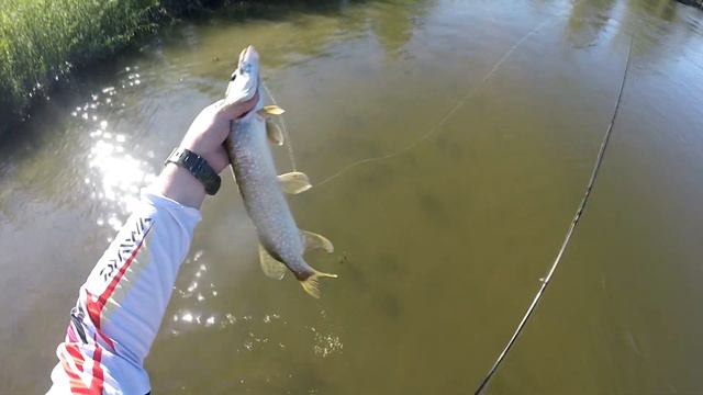 Поймал всех рыб на ультралайт. смотреть онлайн