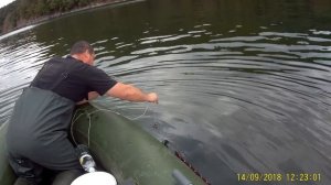 Как поймать креветку в море.