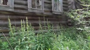 Старинная деревня в глубинке. Уютная и самобытная деревня на берегу реки. Костромская область