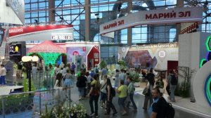 Выставка Россия ВДНХ