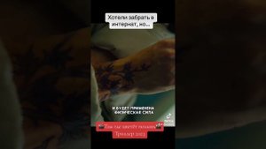 Там где цветёт полынь. Триллер 2023