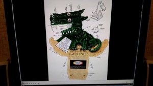 Иллюзия Дракон