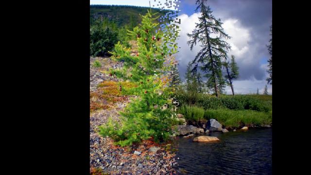 Река Харбей. Полярный Урал. Россия. Harbay River. Polar Urals. Russia. 哈贝河。 极地乌拉尔。 俄罗斯。
