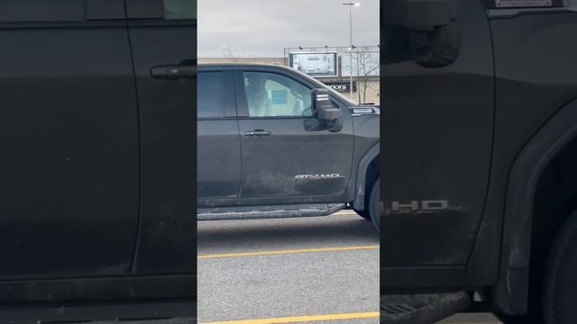 Собака друг человека! И водитель! Это #недело смотреть онлайн