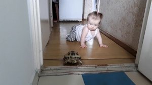 Как научить ребенка ползать. Черепаха и малыш