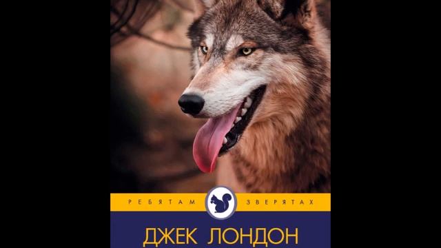Литературное чтение бурый волк. Бурый волк Джек Лондон. Бурый волк. Джек Лондон бурый волк 3 класс. Бурый волк Джек Лондон иллюстрации.