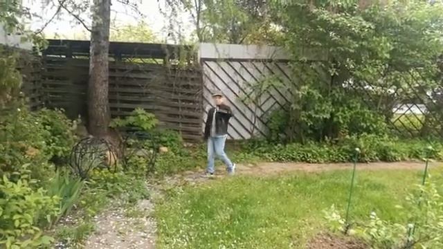 «Воробьишко» М. Горький