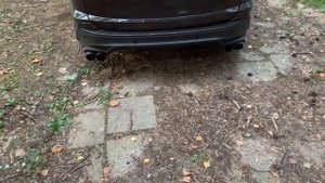 Регулируемый выхлоп