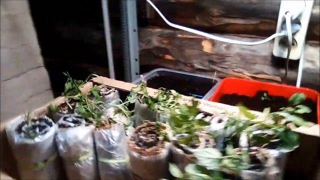 Переезд в деревню из Перми смотреть онлайн