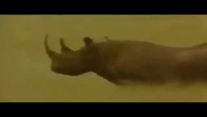 Юрий Мухин о патриотизме грабителей