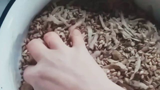 Витамины для кур. Как поддержать курочек зимой. И яйца будут в хозяйстве.