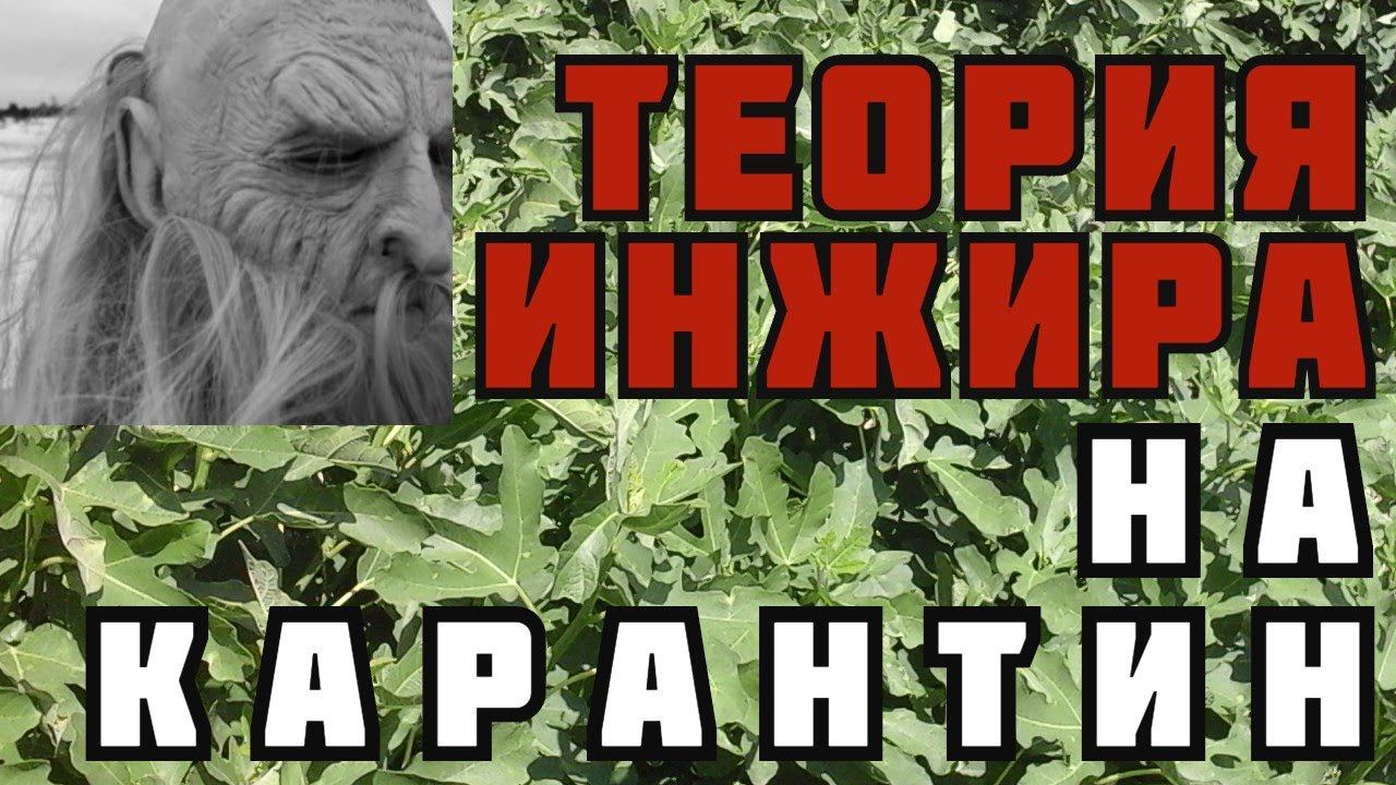 Полив инжира, обрезка инжира, удобрение, формирование куста, укрытие инжира... да как-то уже лень...