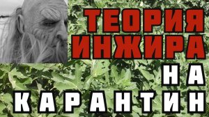 Полив инжира, обрезка инжира, удобрение, формирование куста, укрытие инжира... да как-то уже лень...