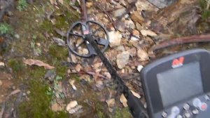 minelab 3030