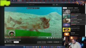 T2X2 СМОТРИТ - 15 САМЫХ РЕДКИХ ЖИВОТНЫХ В МИРЕ