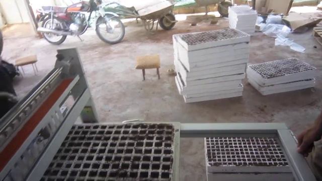 بذر زن سینی کشت استان فارس смотреть онлайн