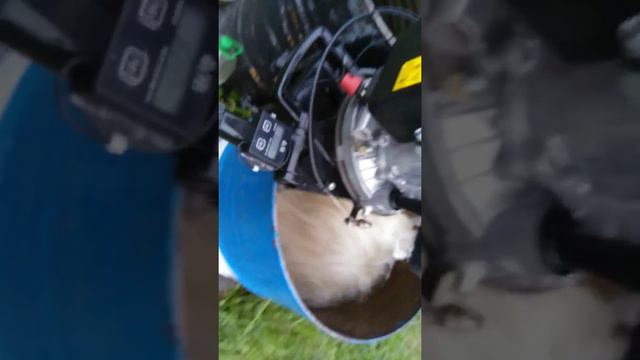 Гибрид чемпион g225vk/2 до обкатывается в бочке. смотреть онлайн