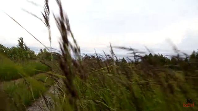 Рогоз смотреть онлайн