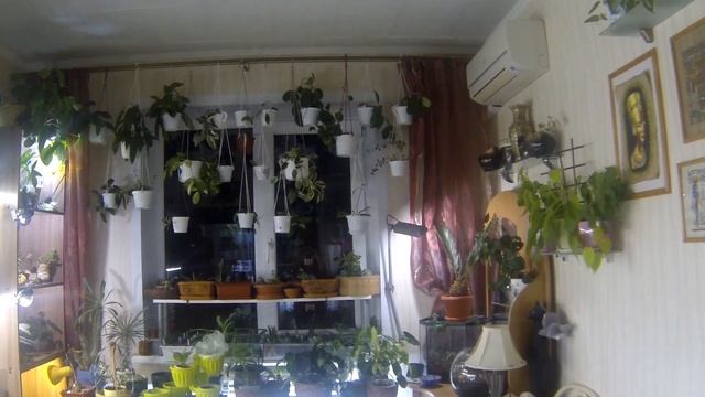 Было-стало. Подсветка для цветов. Зачем столько ламп. смотреть онлайн