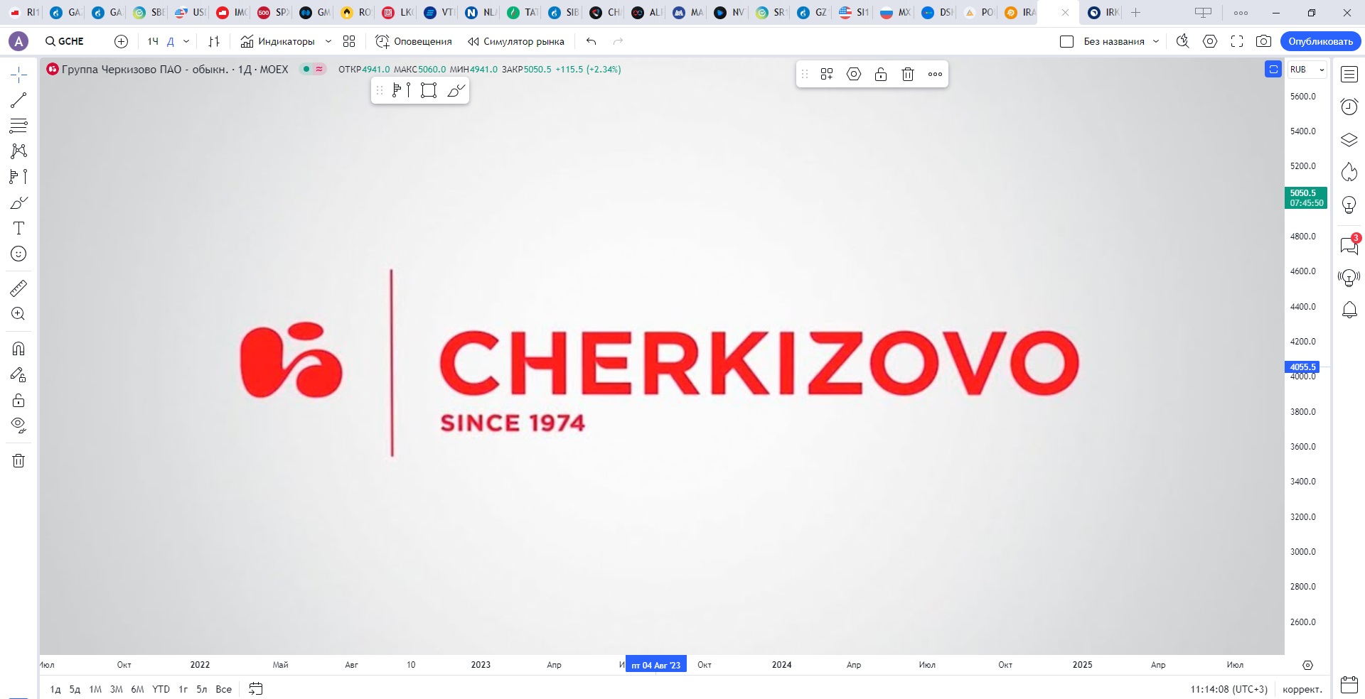 Обзор акции ЧЕРКИЗОВО.