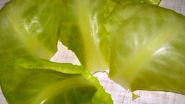 Вегетарианские голубцы с паниром
