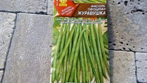Фасоль овощная Журавушка - ознакомление