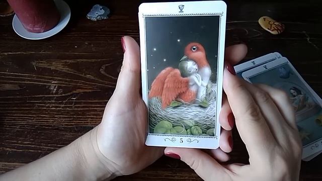 Таро Николетты Чекколи, обзор колоды / Nicoletta Ceccoli Tarot