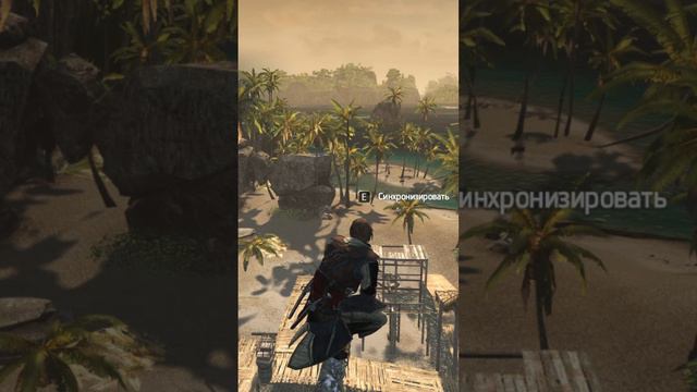 Assassins Creed IV Black Flag