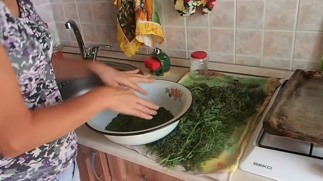 Сушка петрушки и морковной ботвы в ручную. Как сушить зелень?
