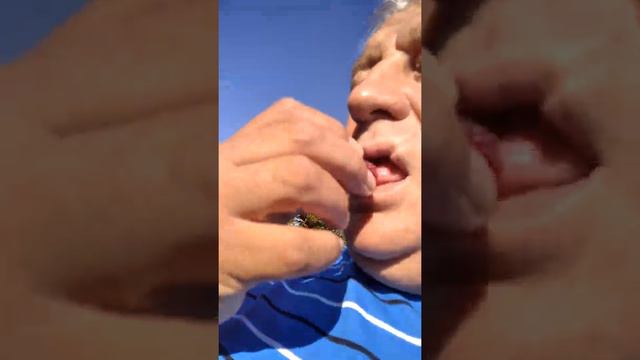 ежемалина тайберри смотреть онлайн