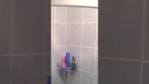 Сдам квартиру в Партените южный берег Крыма