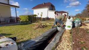 Посадка взрослых кустов голубики