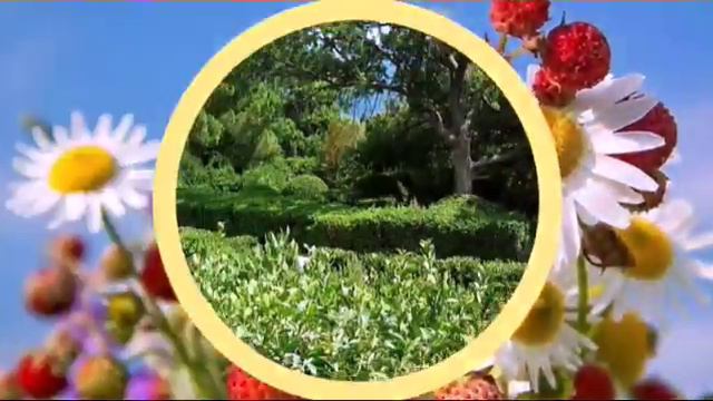 ПРИЯТНОГО ВЕЧЕРА ДРУЗЬЯ ... смотреть онлайн