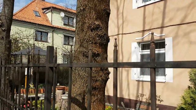 Зеленоградск апрель 2018