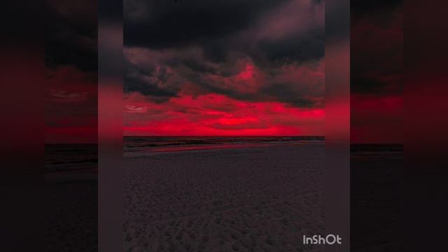 Andy panda-оранжевый закат? смотреть онлайн