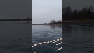Спасли собаку из воды зимой