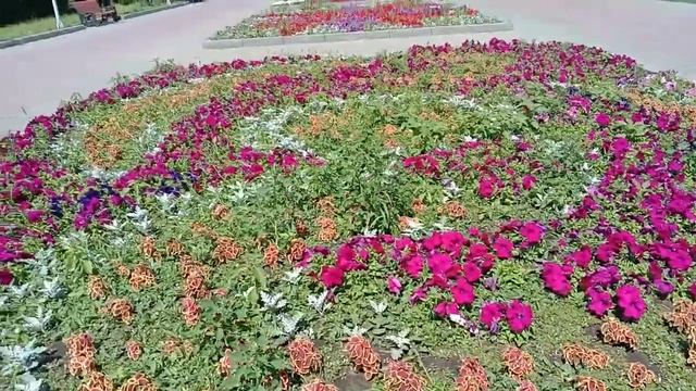15.Город Семипалатинск. От экспресса до вокзала.Прогулка по Семею.