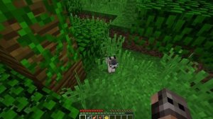 КАК ПРИРУЧИТЬ ОЦЕЛОТА В МАЙНКРАФТ. Четко и ясно!