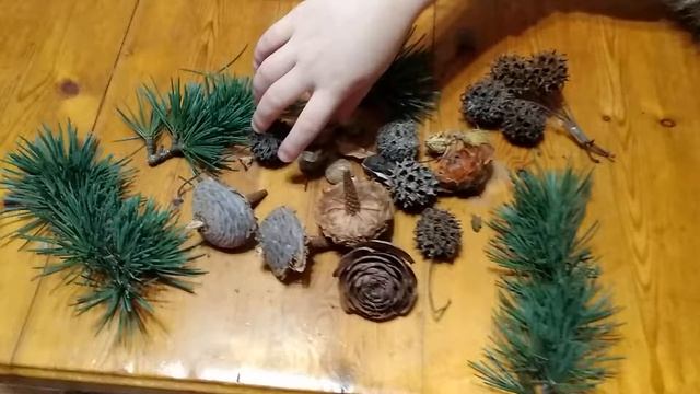 Новогодние бычки... смотреть онлайн